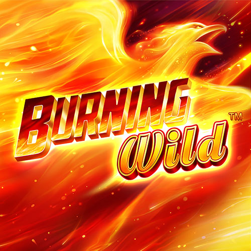 Burning Wild